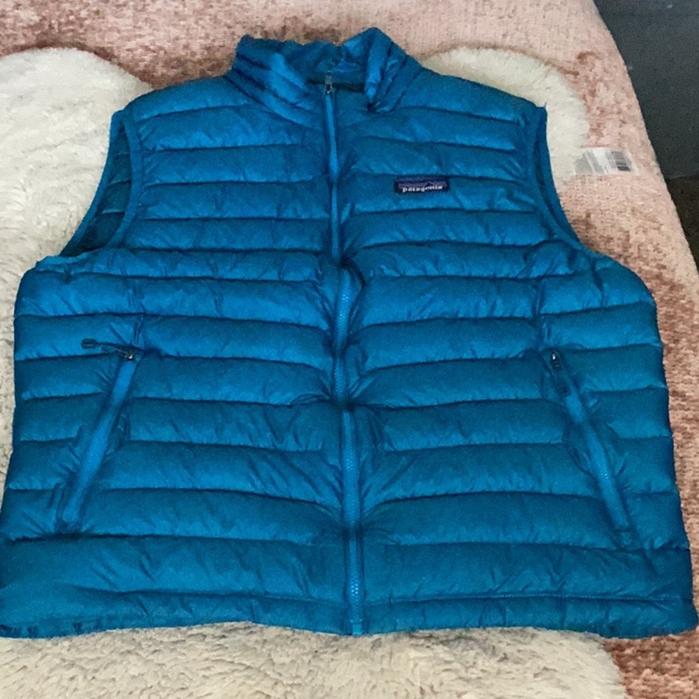 Patagonia Teal Down Sweater Vest
